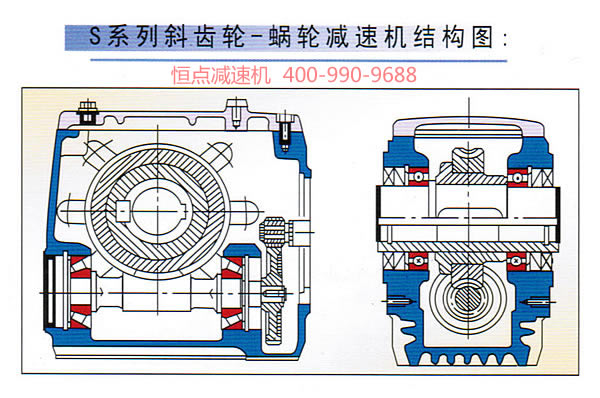 S系列斜齒輪-蝸輪減速機内部結構彩圖
